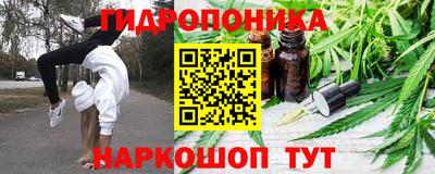 jwh Майкоп