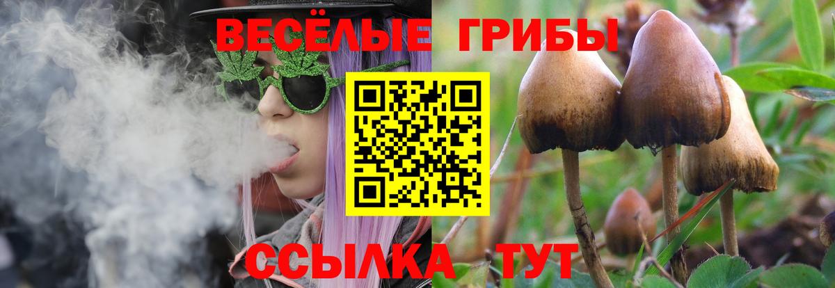 Псилоцибиновые грибы ЛСД Омск